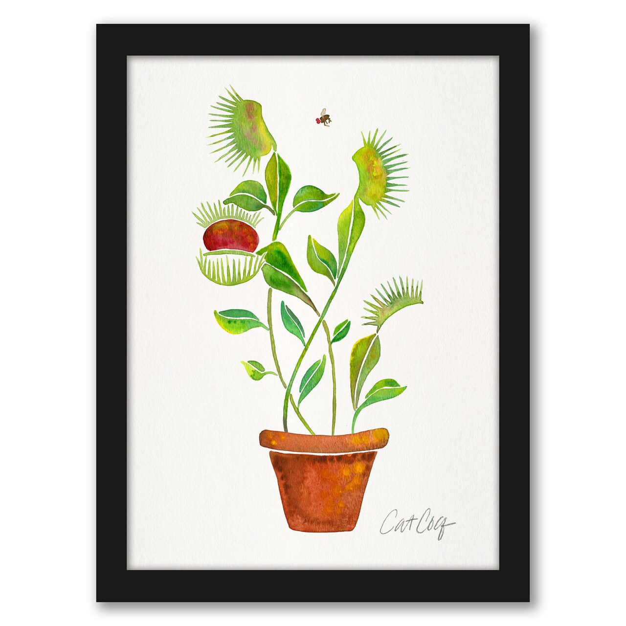 Venus Fly Trap by Cat Coquillette Frame  - Americanflat